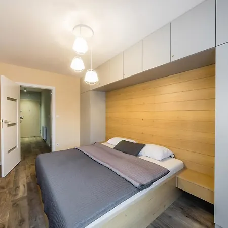 Апартаменты Rakowicka 14 Deluxe Old Town Wawelofts *