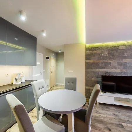 Rakowicka 14 Deluxe Old Town Wawelofts *