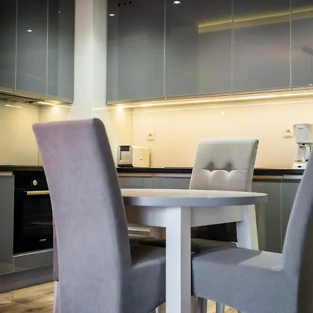 Rakowicka 14 Deluxe Old Town Wawelofts * Cracóvia